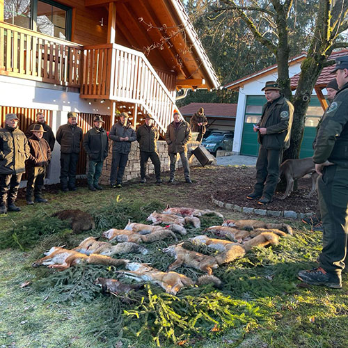 Lange Fuchsnacht Forst Eibenstein