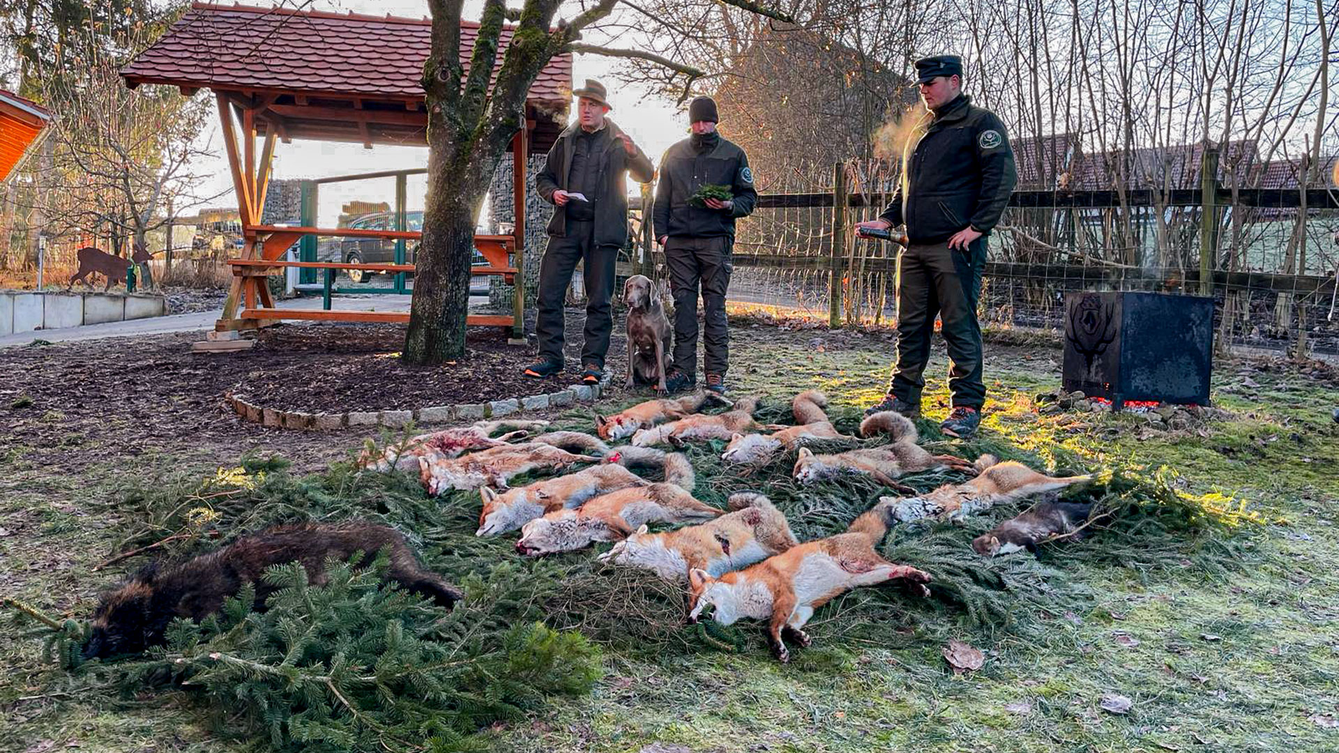 Lange Fuchsnacht Forst Eibenstein